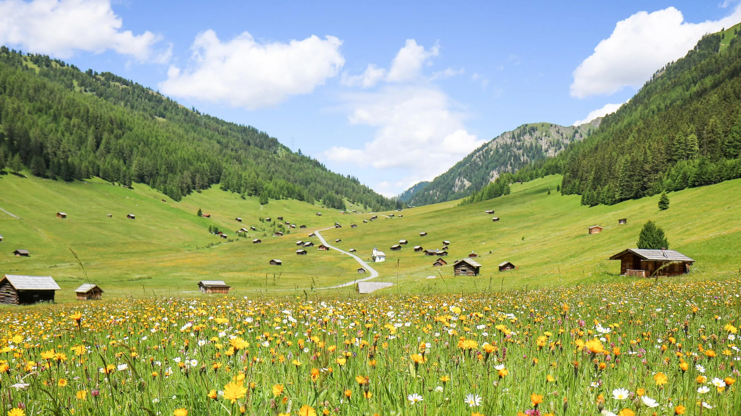 e-TVB-Tiroler-Oberland-Kurt-Kirschner-Tschey-Sommer-2018_3